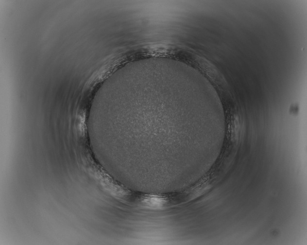X0000115000610200911091359