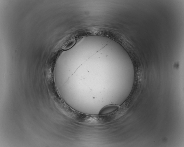 X0000115000611200911091359