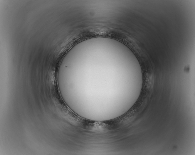 X0000115000612200911091359