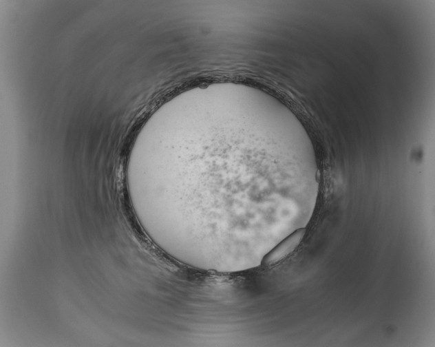 X0000115000613200911091359