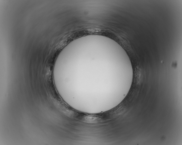 X0000115000614200911091359