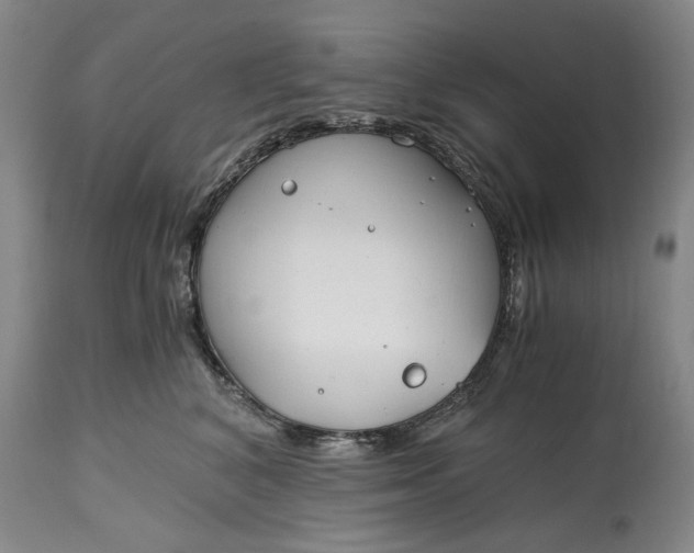 X0000115000616200911091359