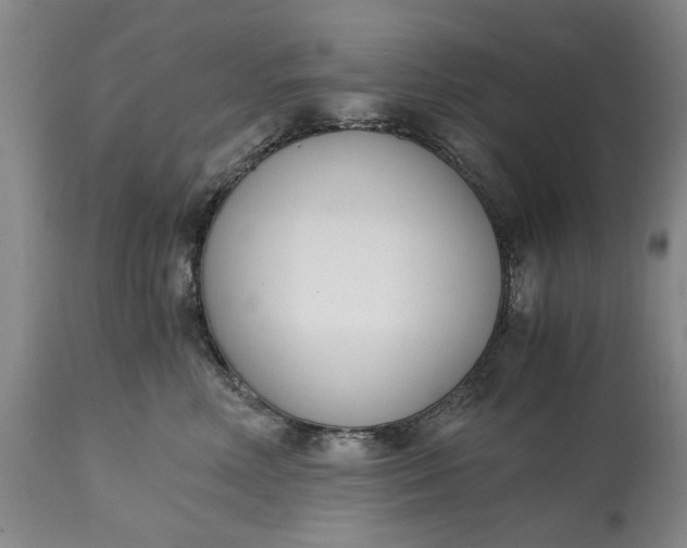 X0000115000618200911091359