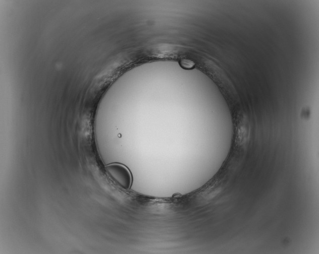 X0000115000620200911091359