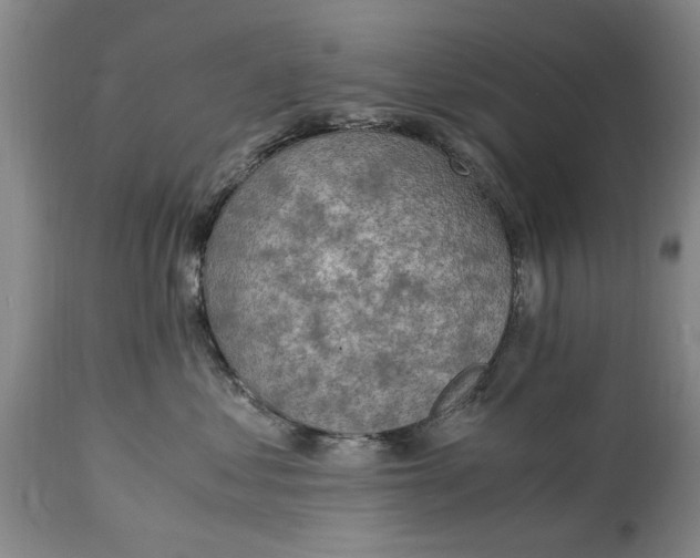 X0000115000621200911091359