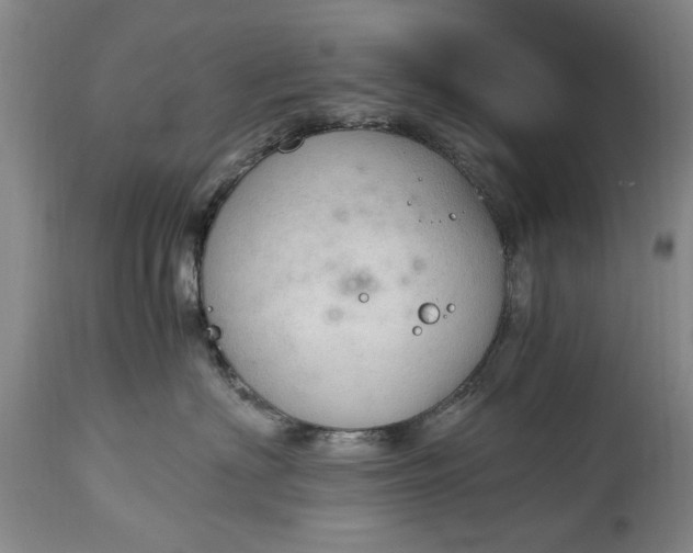 X0000115000622200911091359