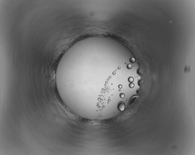 X0000115000624200911091359