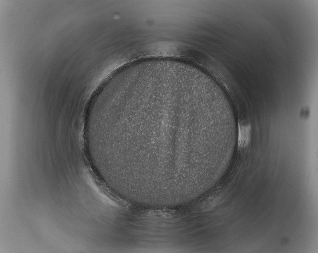 X0000115000627200911091359