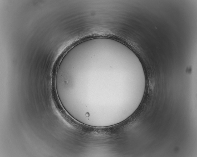 X0000115000630200911091359