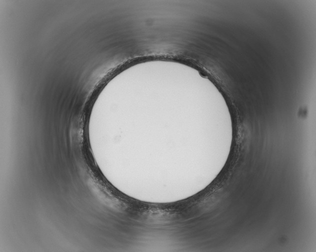 X0000115000632200911091359