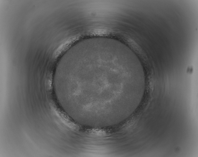 X0000115000640200911091359