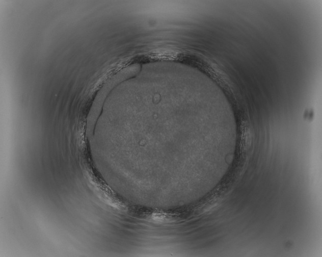 X0000115000641200911091359