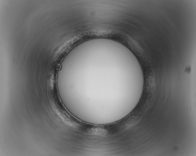 X0000115000644200911091359
