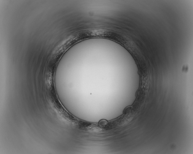 X0000115000648200911091359