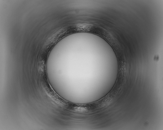 X0000115000649200911091359