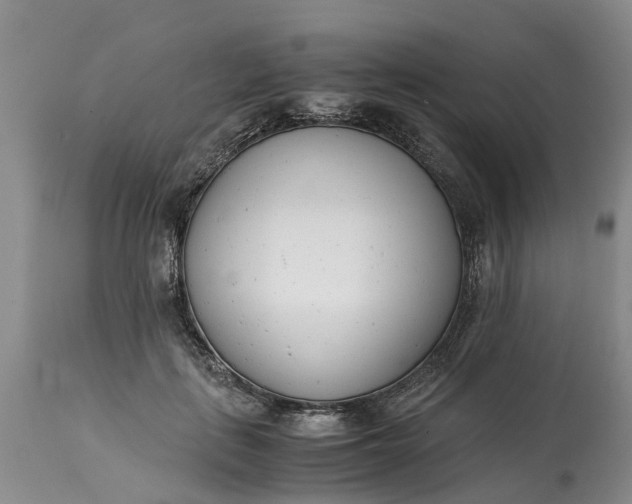 X0000115000651200911091359
