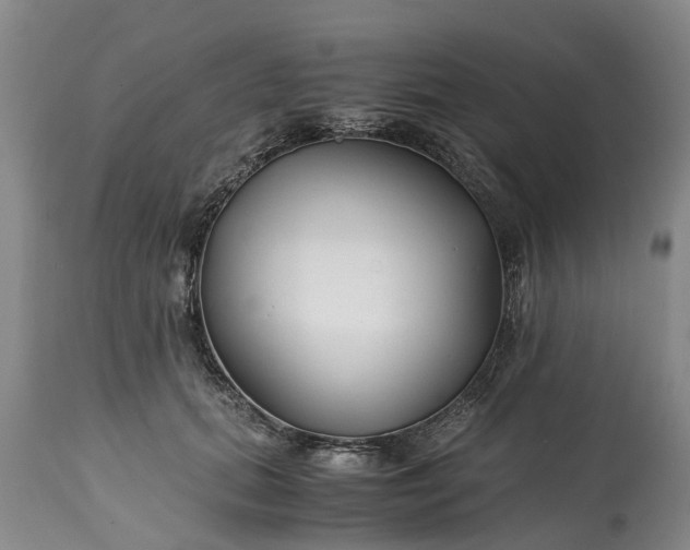X0000115000655200911091359