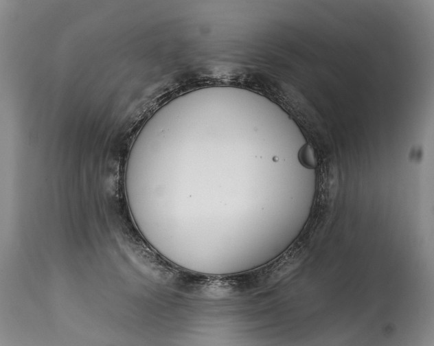 X0000115000656200911091359