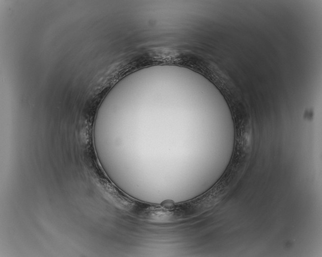 X0000115000658200911091359