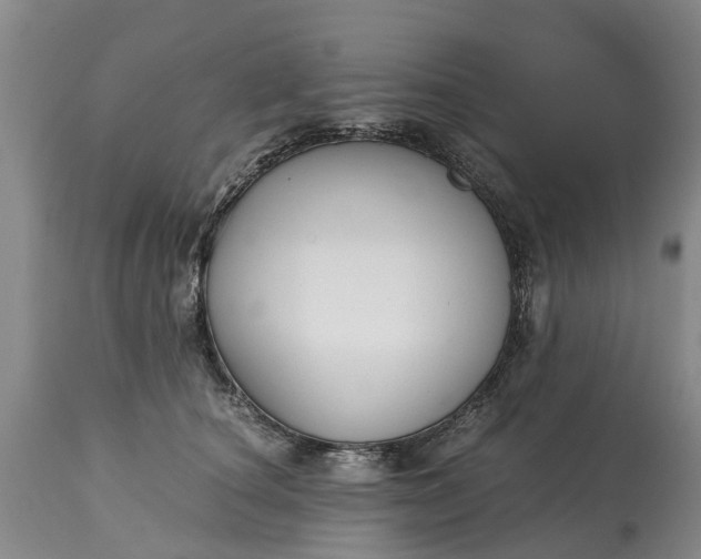 X0000115000660200911091359
