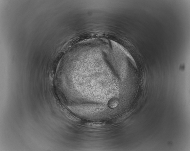 X0000115000661200911091359