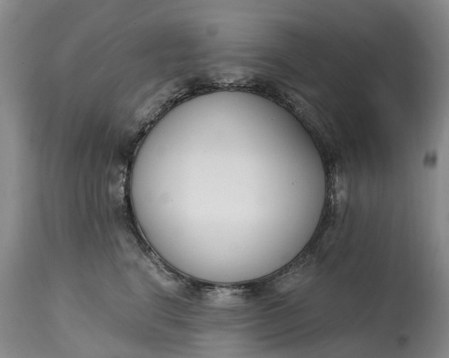 X0000115000664200911091359