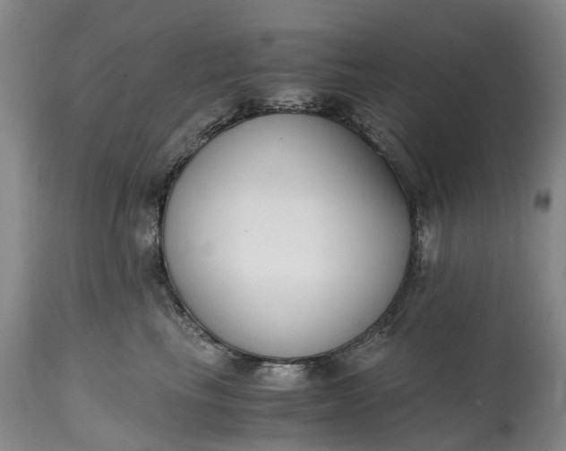 X0000115000665200911091359