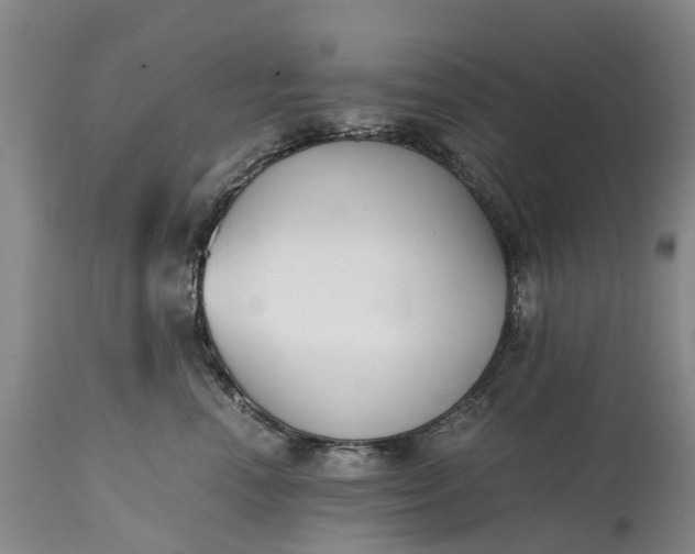 X0000115000666200911091359