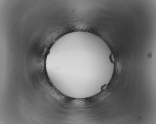X0000115000668200911091359