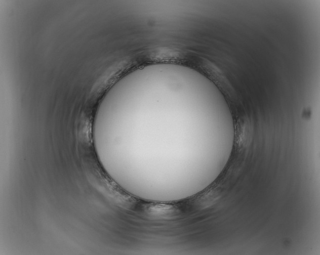 X0000115000669200911091359