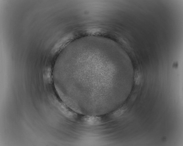 X0000115000670200911091359