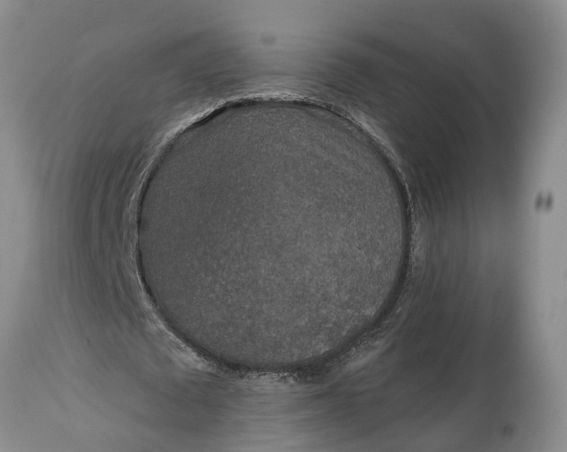 X0000115000673200911091358