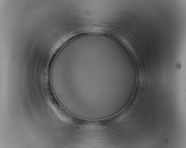 X0000115000674200911091358