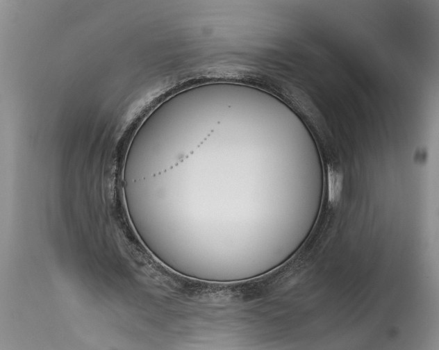 X0000115000675200911091358