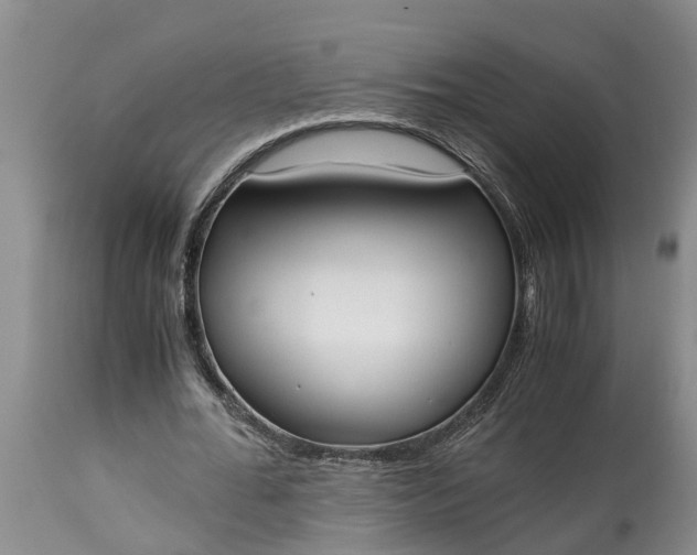 X0000115000676200911091358
