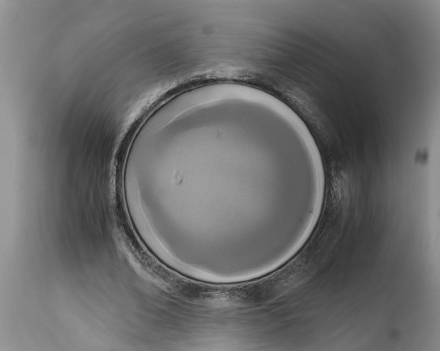 X0000115000678200911091358