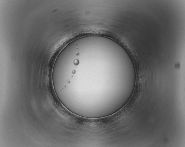 X0000115000679200911091358