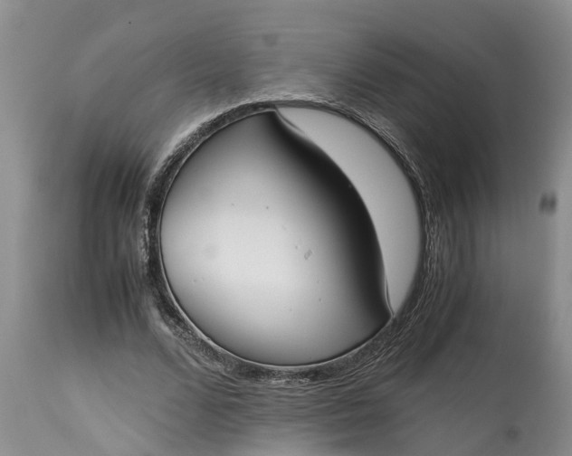 X0000115000680200911091358