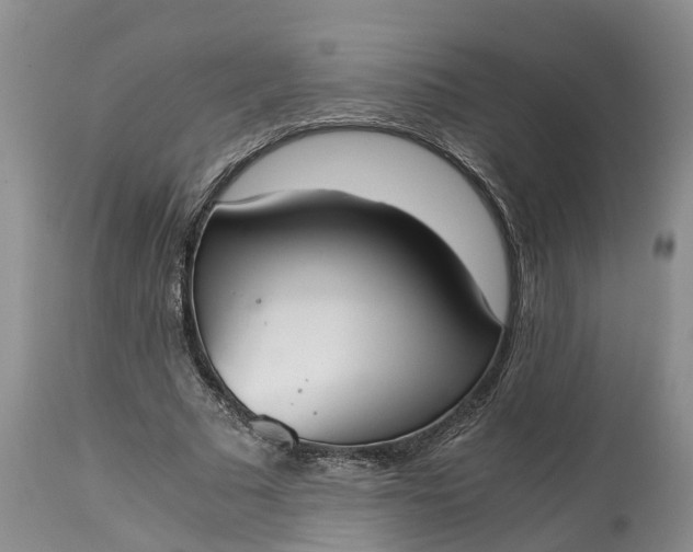 X0000115000681200911091358