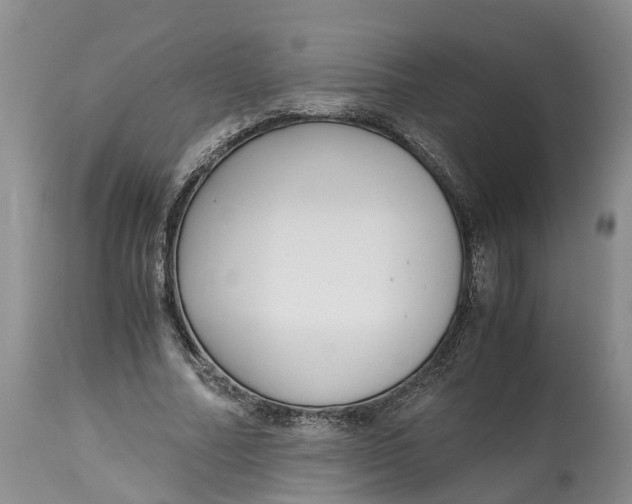 X0000115000682200911091358