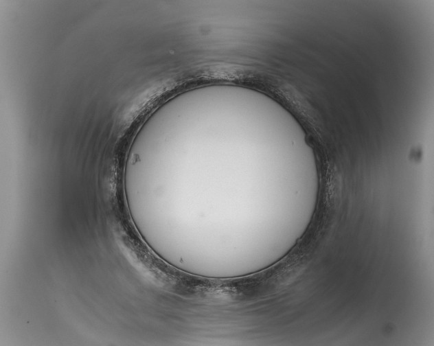 X0000115000683200911091358