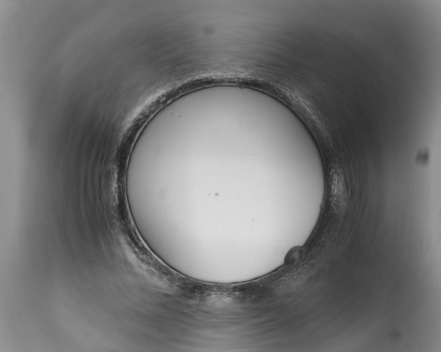 X0000115000684200911091358