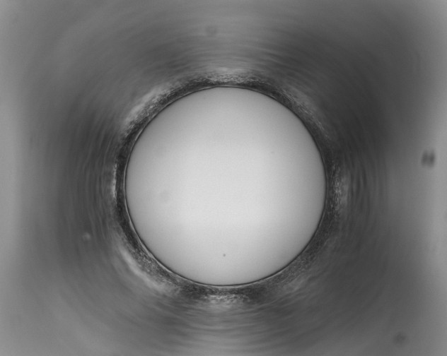 X0000115000686200911091358