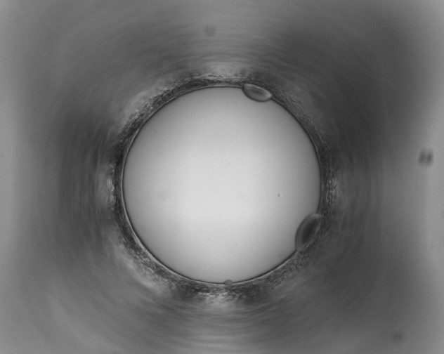 X0000115000688200911091358