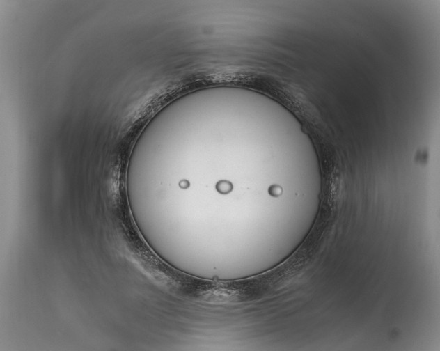 X0000115000691200911091358