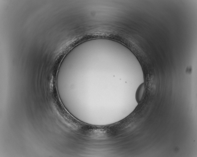 X0000115000692200911091358