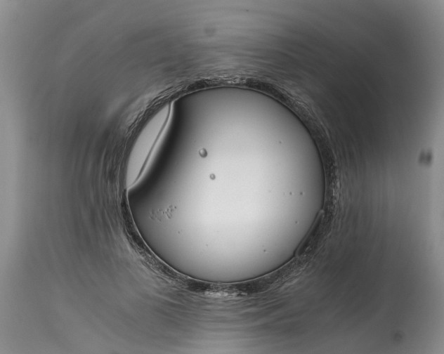 X0000115000693200911091358