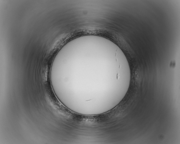 X0000115000694200911091358