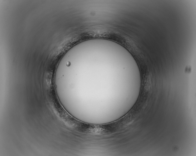X0000115000695200911091358