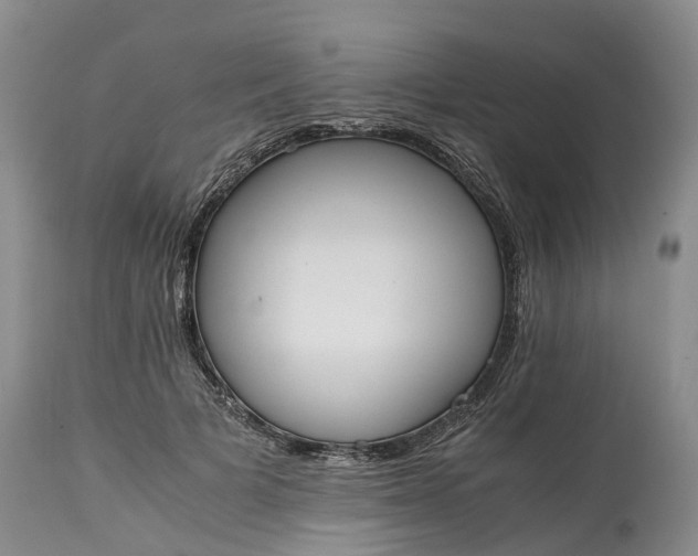 X0000115000697200911091358